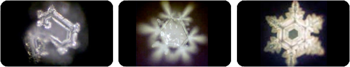 Wasserkristalle Beispiele